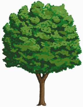 l'avenir de nos enfants - développement durable